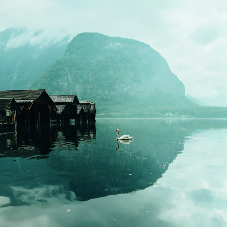 Mr‐Oﬀenblende.at